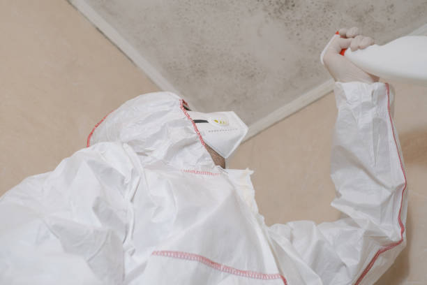 Biohazard Mold Removal in Mechanicsville, MD